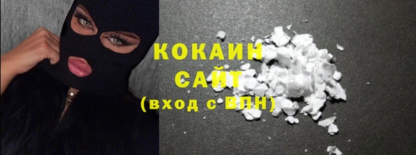 гашик Михайлов