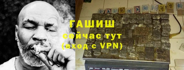 гашик Михайлов
