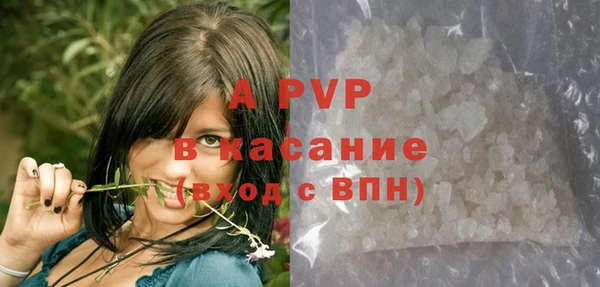 гашик Михайлов