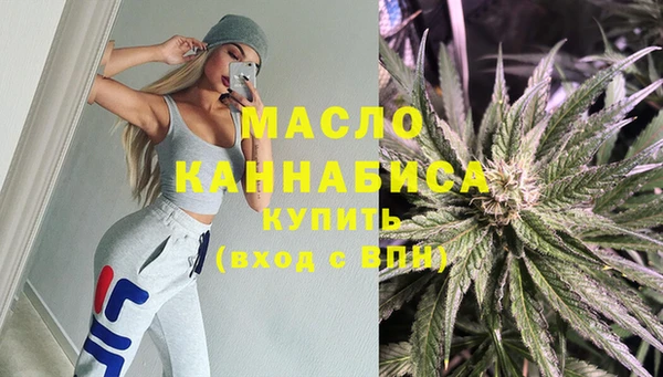 гашик Михайлов
